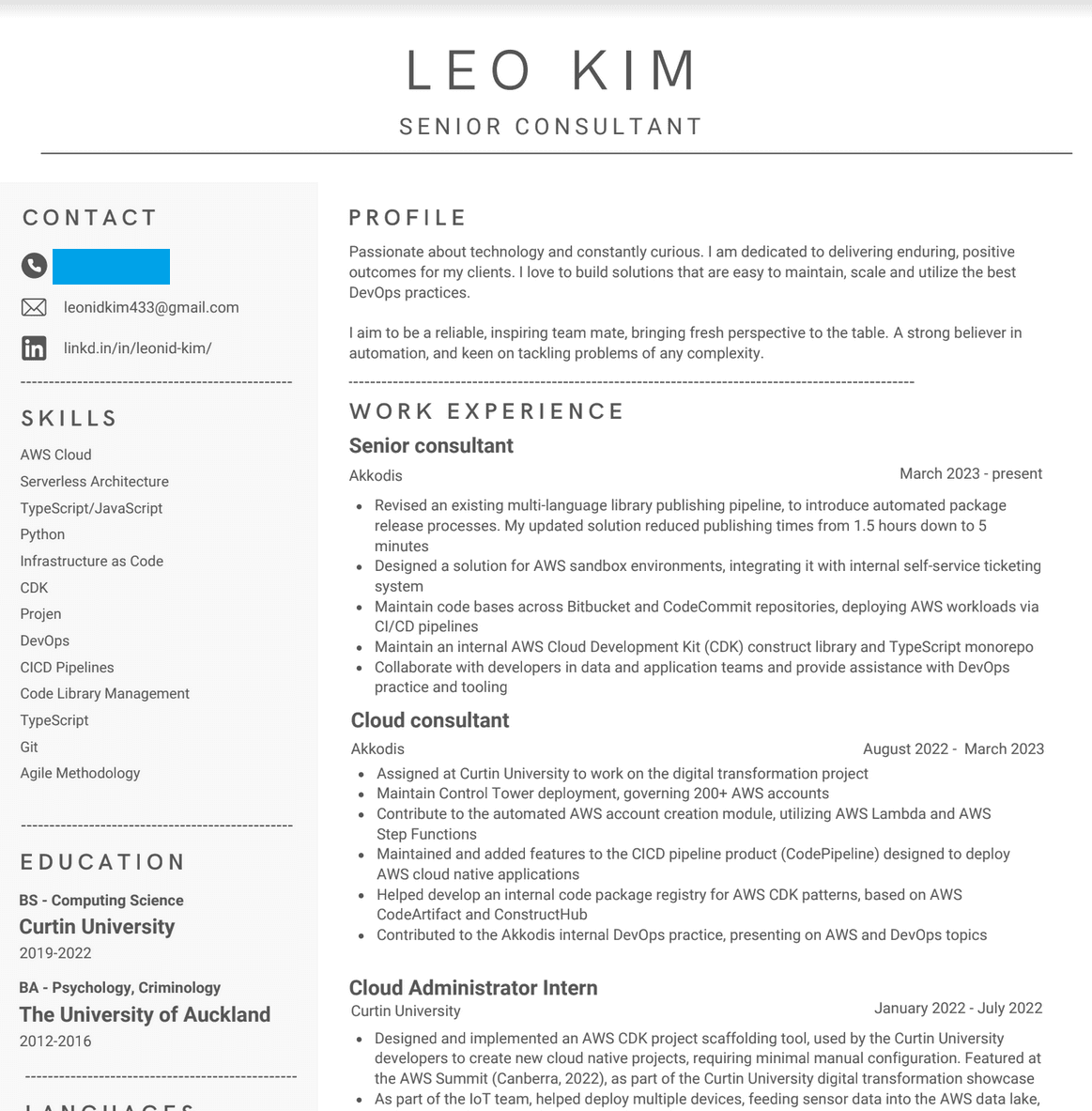 Third version of resume